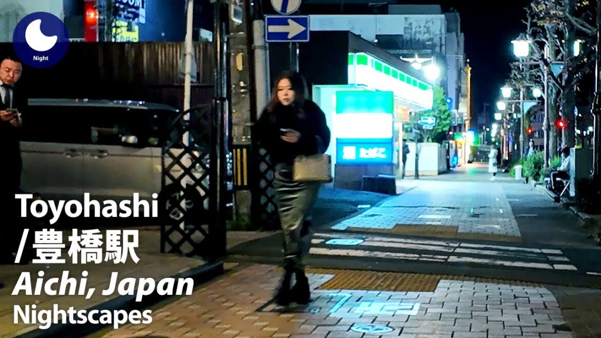 ⁴ᴷ Aichi: Toyohashi Station (愛知県: 豊橋駅) - Japan Walking Tour (December, 2024)