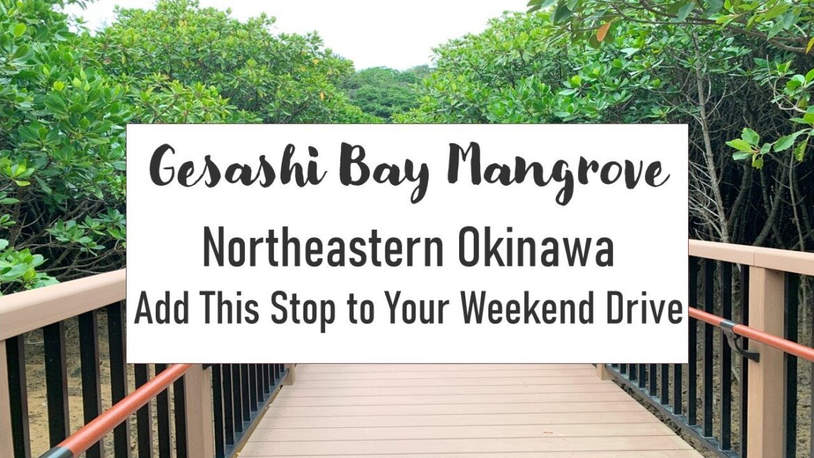 Gesashi Bay Mangrove Afternoon Stop with Picnic Tables