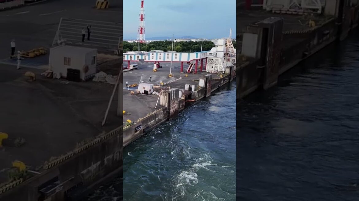 Longest ferry route in Japan! Sail the Pacific Ocean with me!