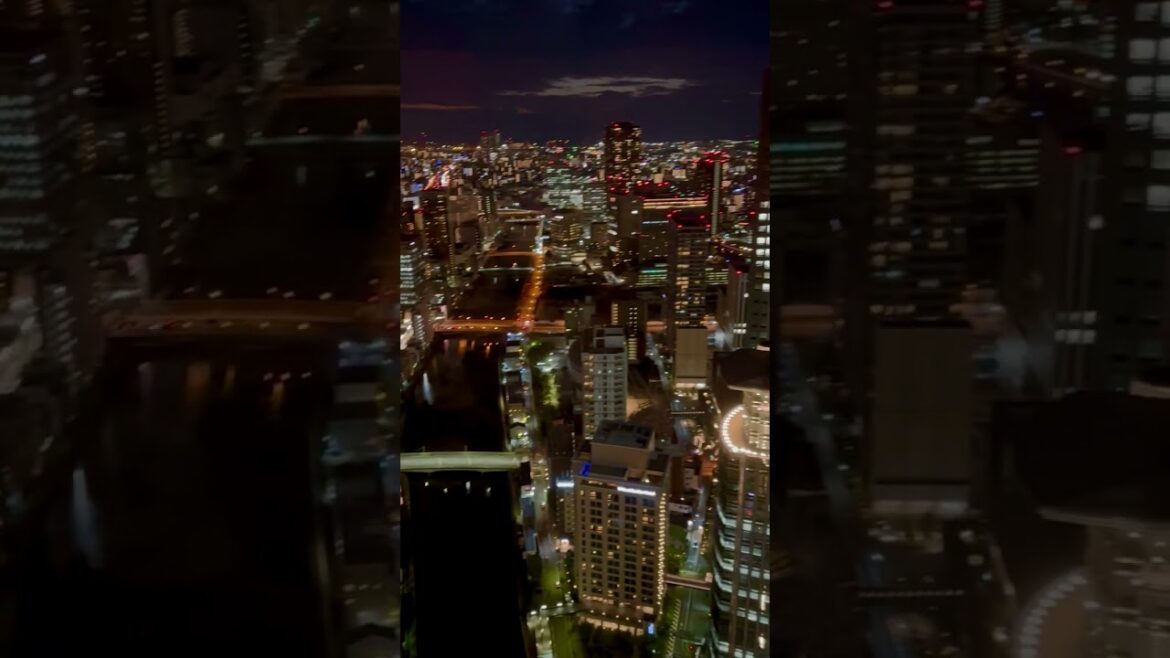 Osaka view by Night (2024) 大阪