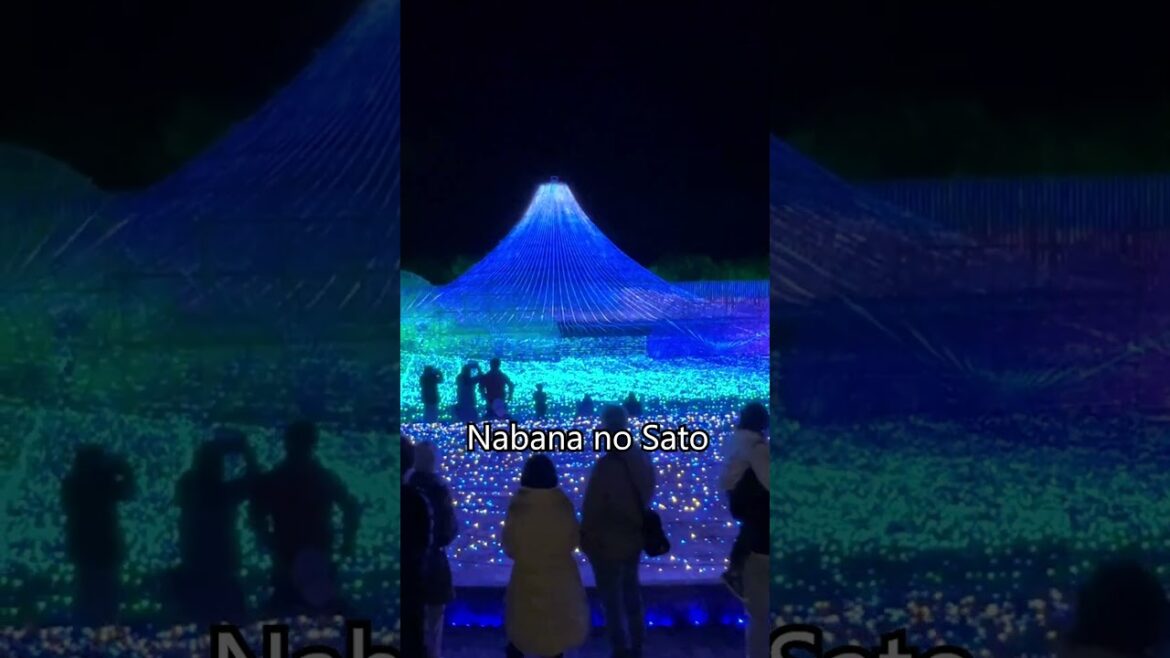 Insane Winter Illuminations!  Nagoya Style!