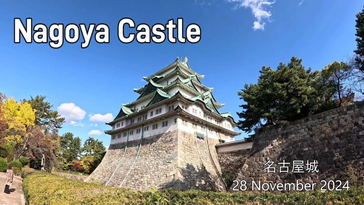 I visited Nagoya Castle and its Hommaru Palace! |  Walking Tour  名古屋城🎌🏯