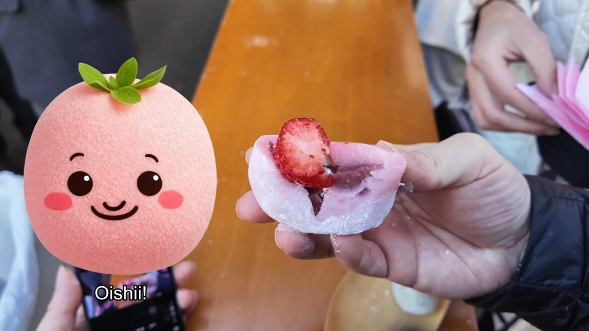 December 2024 Japan Trip part 1 December 2024 Japan Trip part 1