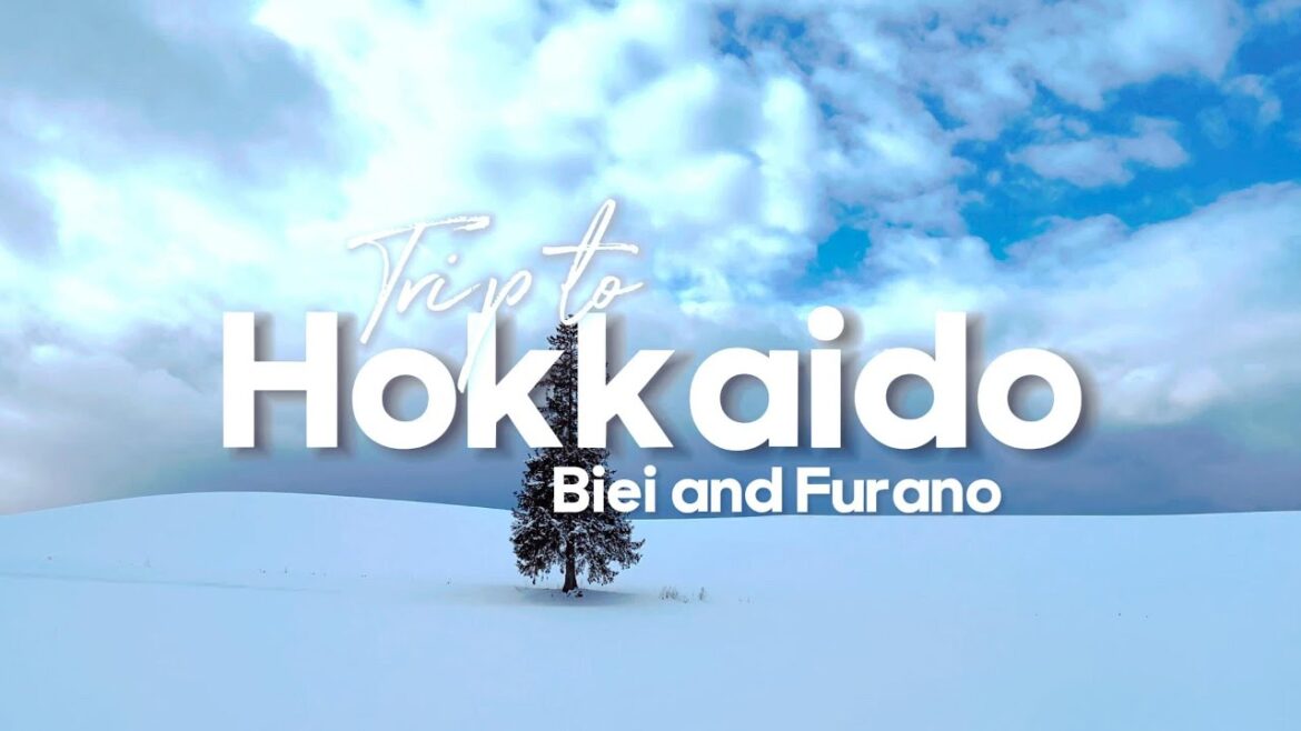 A Day in Biei and Furano: Hokkaido's Scenic Paradise ❄️🏔️🌲