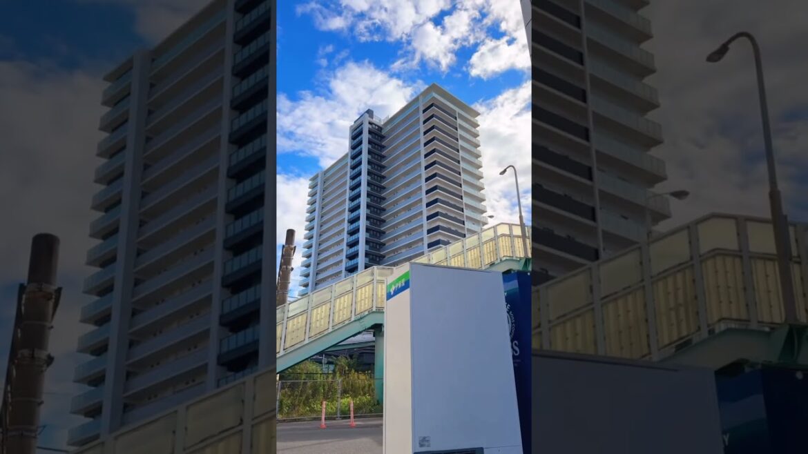 📍 Kashiwa-shi, Chiba 🇯🇵 #japan #japanese #japantravel #japantrip #chiba