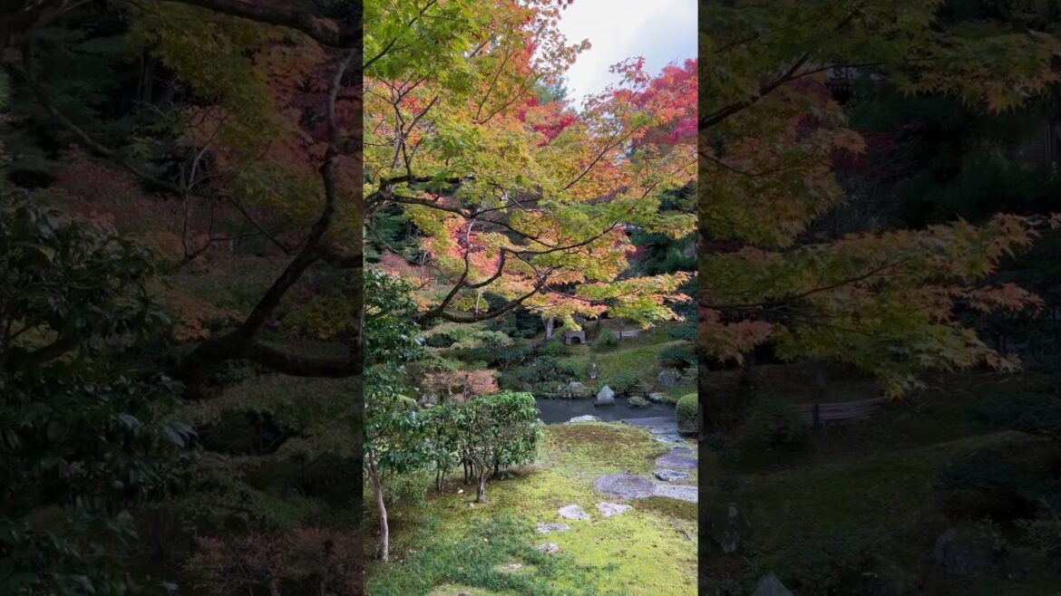 【KYOTO】 Must-See Tourist Attraction - Sennyuji Temple