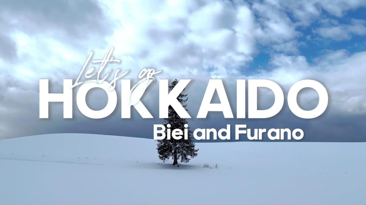 A Day in Biei and Furano: Hokkaido's Snowy Paradise ❄️🏔️🌲