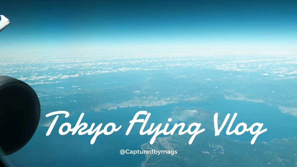 Taipei to Tokyo Narita with EVA Air Business Class | Tokyo & Chiba | Oden | Beer 🛫🍢🍻