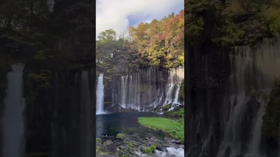 The most BEAUTIFUL Mount Fuji View!