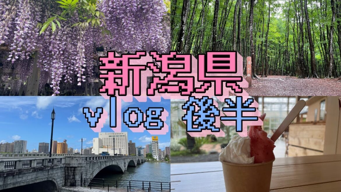 【新潟 trip vlog 後半】年越えるところだった・・・※2024年5月のソロ旅です【ぽたぽた】