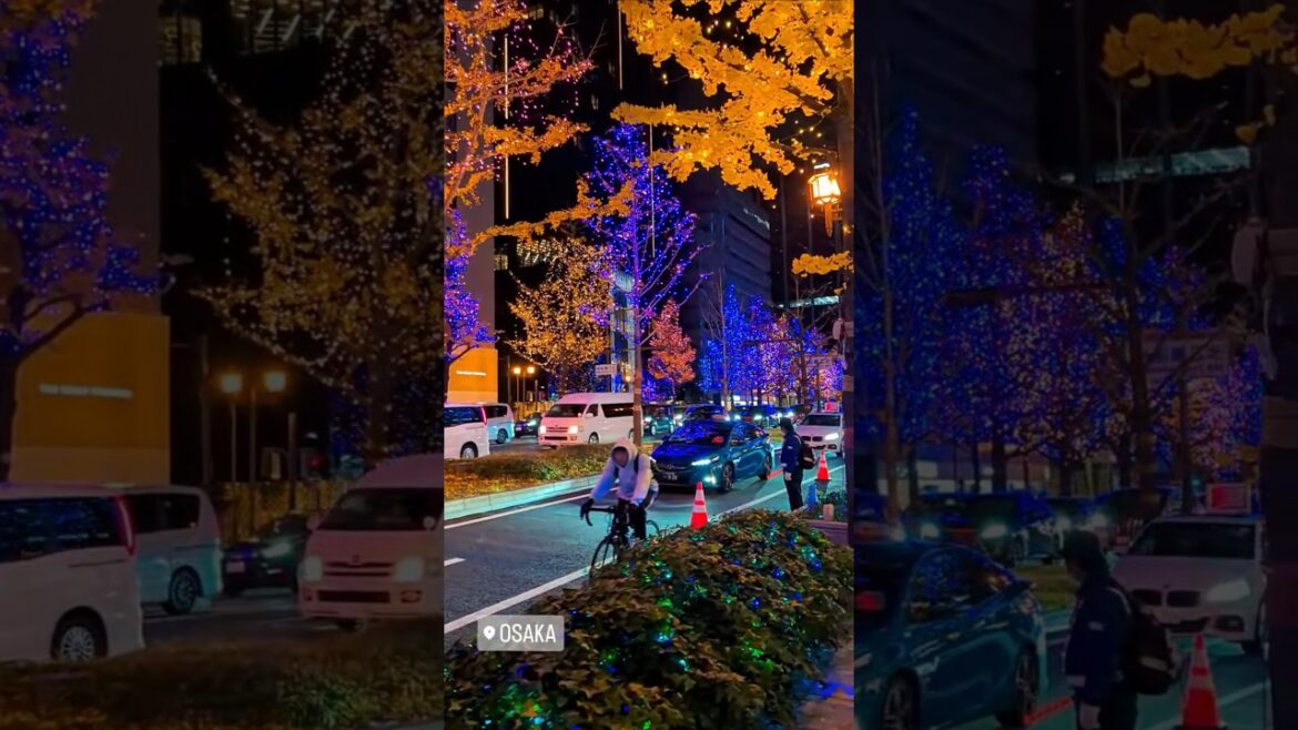 MAGICAL Illumination in the Streets of Osaka 🇯🇵✨ 大阪のイルミネーション