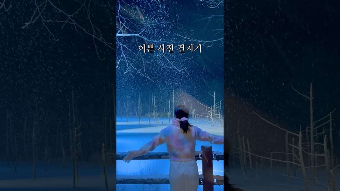 청의호수에서 인생사진 건지는법!! 이렇게 해보세요 📷#shorts #일본여행 #사진잘찍는법 #삿포로여행 #sapporo #hokkaido #청의호수