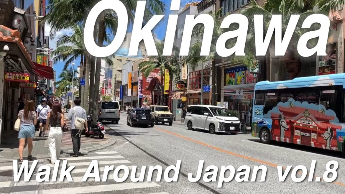 Okinawa/Walk Around Japan vol.8