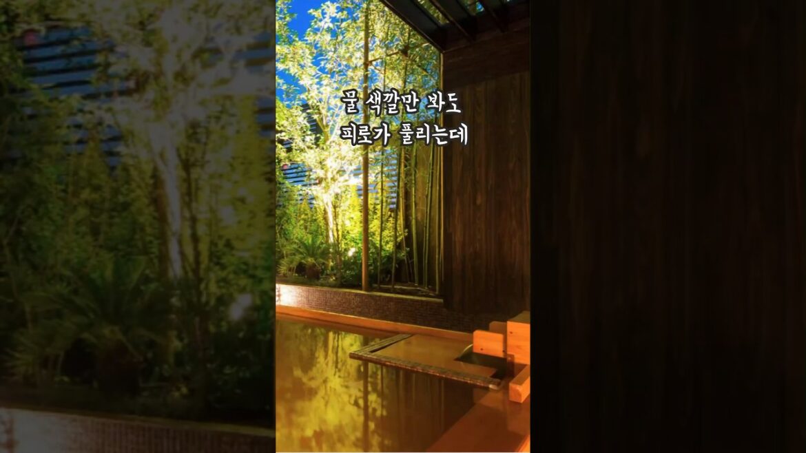 오사카 근교여행 고베 5성급 호텔 온천 성공적 오사카 근교여행 고베 5성급 호텔 온천 성공적