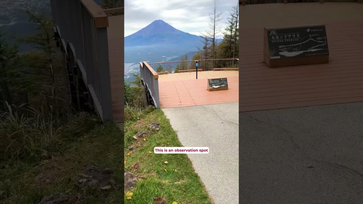 No Crowds, Just Mt. Fuji Magic 🗻✨ Don’t Miss This! #japan #fuji  #japantravel #shorts
