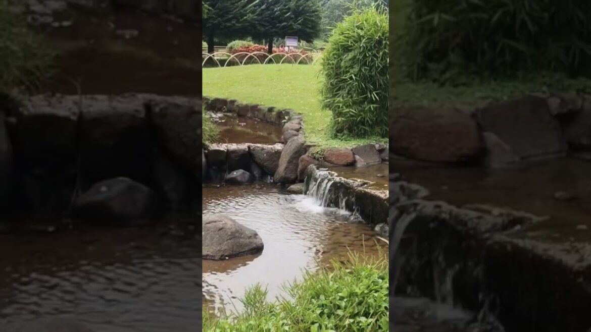 Friendship garden Pune Maharashtra India🫰#youtubeshorts#shorts #friends#garden#pune #travel #india