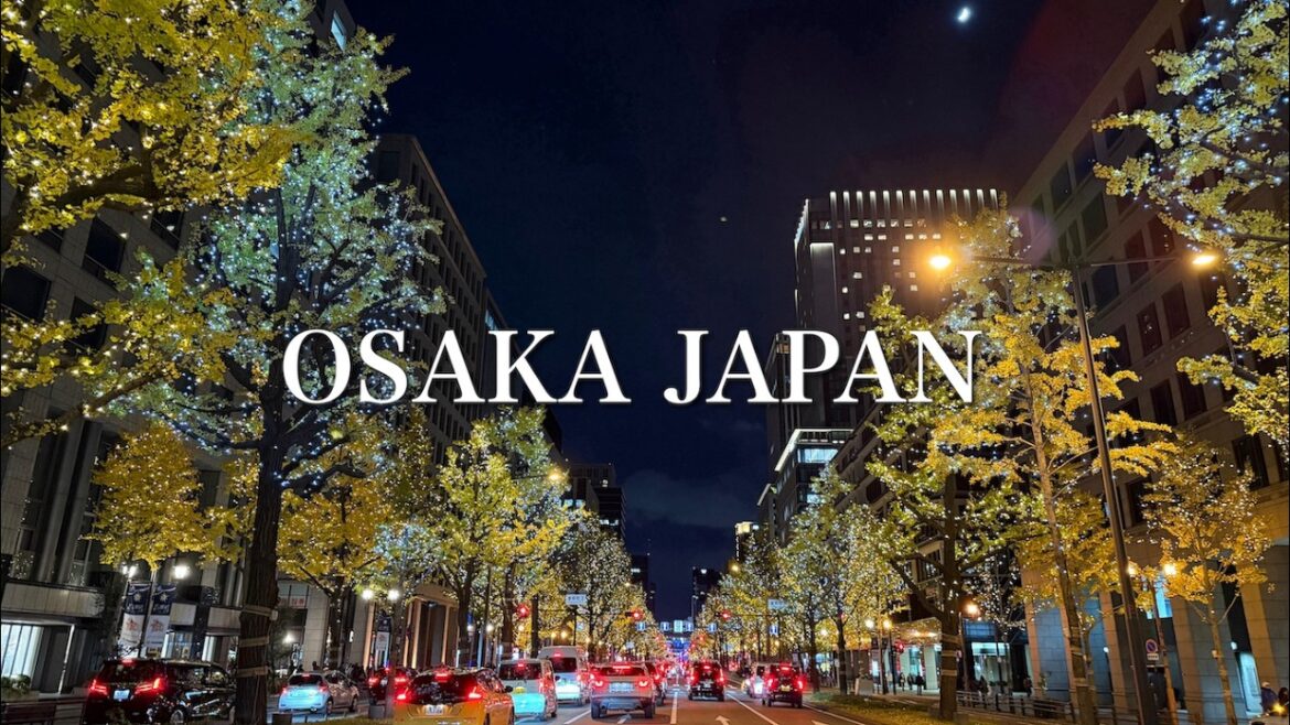 【大阪】御堂筋の華やかな紅葉とイルミネーション！中之島のグルメと絶景スポットも満喫！