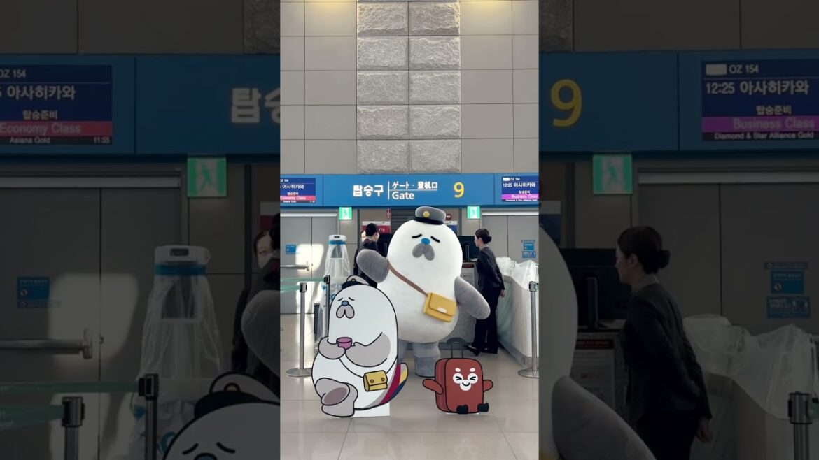 π’π π’π‘ππ¬π«λ₯μμ΄λ μμ¬νμΉ΄μμ κ°μ π’π π’π‘ππ¬π«λ₯μμ΄λ μμ¬νμΉ΄μμ κ°μ