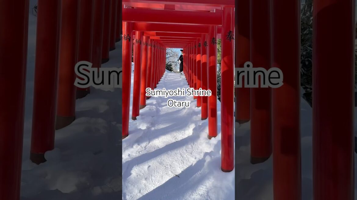Sumiyoshi Shrine Otaru. #japan #hokkaido #otaru #japanshrine #otarushrine #shrine
