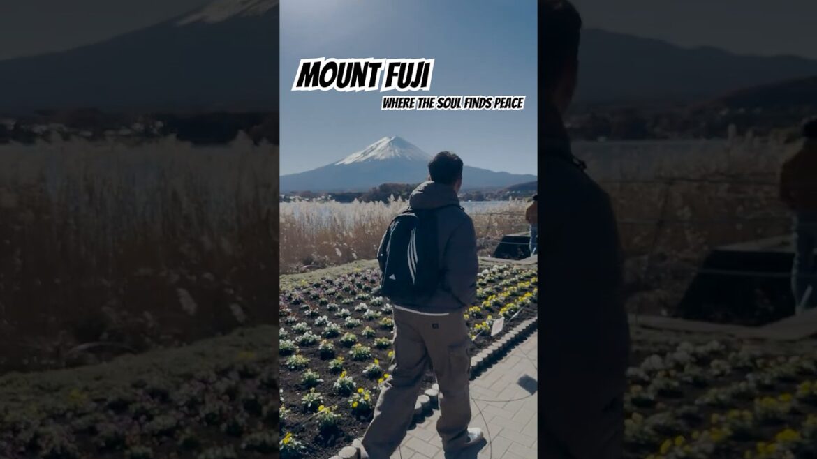 Mount Fuji – Where the Soul Finds Peace