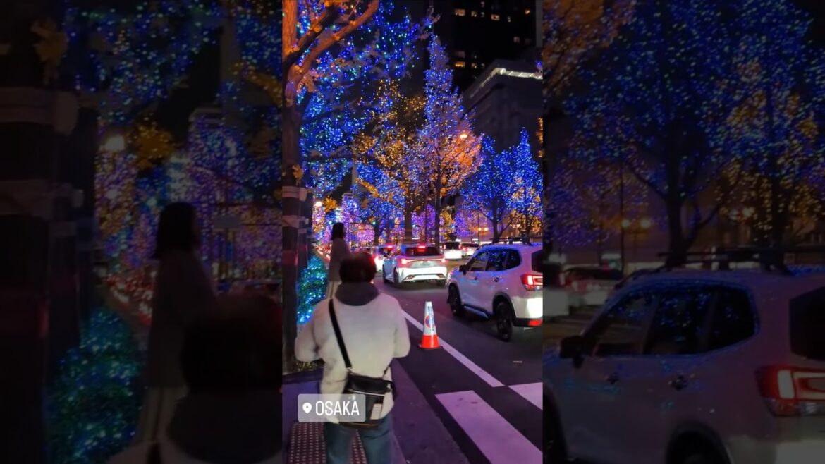 Japan 🇯🇵 Beautiful Illumination Lights in Osaka ✨ 御堂筋イルミネーション2024 🎄 Midousuji Illumination