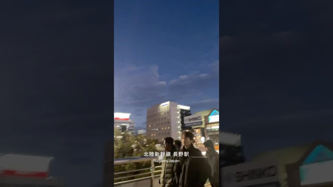 Nagano japan 🇯🇵  #instrumental #christmas #japan #explore #travel #shorts #viralvideo #nagano