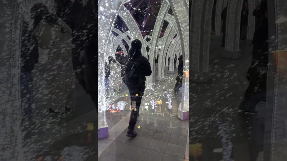 2024 Christmas light displays across Japan | Happy Holidays!