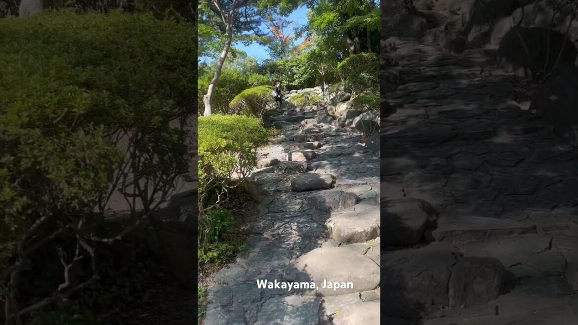 Wakayama city