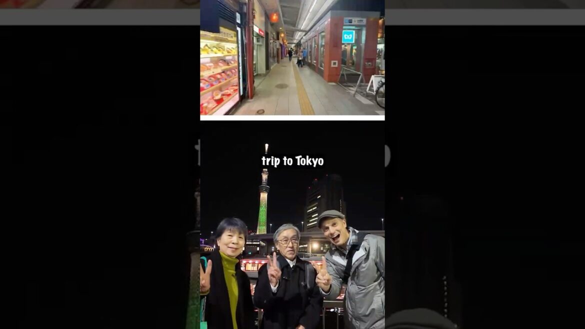 Tokyo Guided Tour from Local Volunteers in English around Asakusa