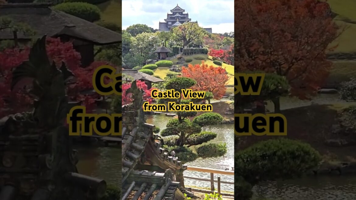 Castle View from Korakuen 後楽園 #japantravel #okayama #castle