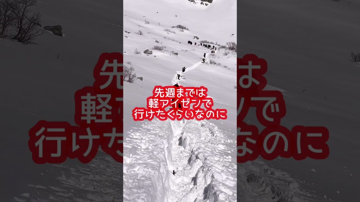 2024.12.9雪の木曽駒ヶ岳へ！軽装備で千畳敷カール散歩　#shorts #千畳敷カール #ソースカツ丼 #木曽駒ヶ岳 #ロープウェイ #駒ヶ根市