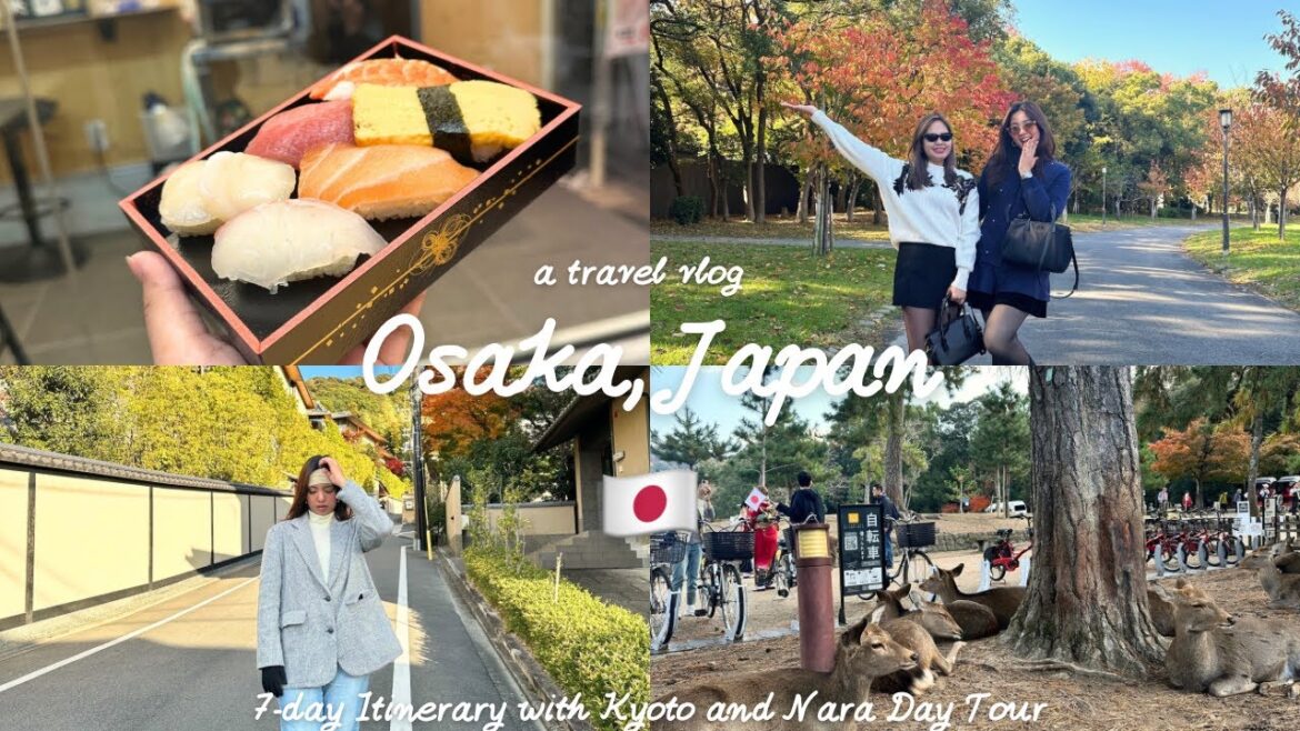 JAPAN 🇯🇵 | Osaka Amazing Pass, Kyoto and Nara Day Trip, Food trip, and Shopping 🍣🍜🥢 | Aila Valiente JAPAN 🇯🇵 | Osaka Amazing Pass, Kyoto and Nara Day Trip, Food trip, and Shopping 🍣🍜🥢 | Aila Valiente