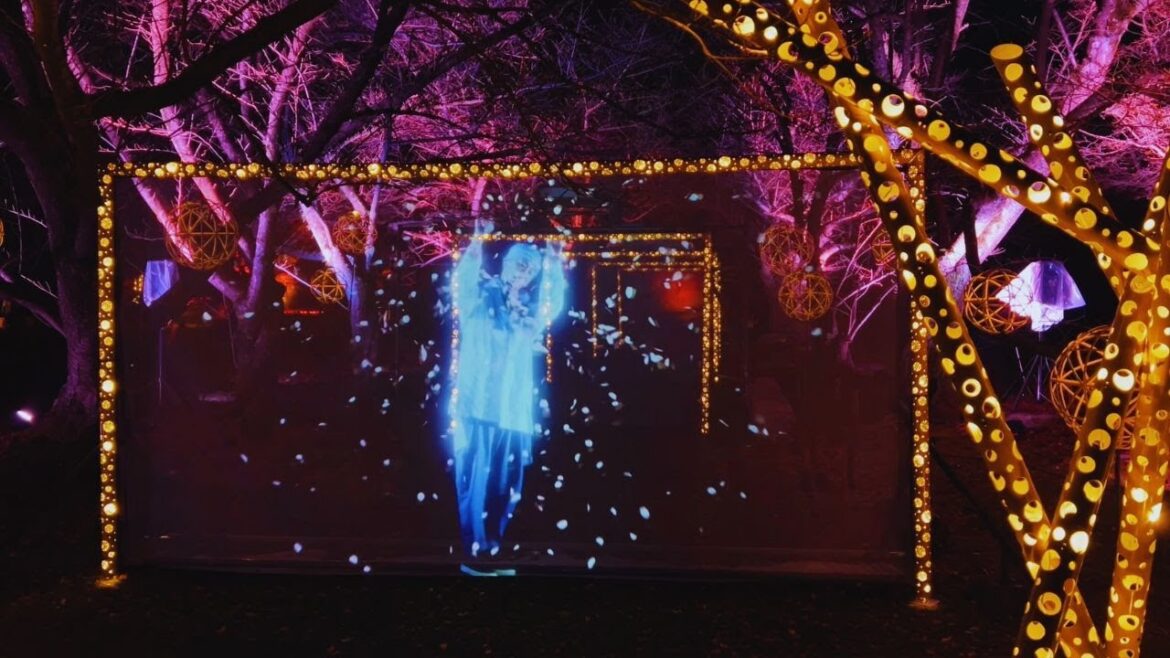 Fukuoka Castle Ruins Winter Wonderland | Christmas Night Stroll 2024|Japan|kyushu|Fukuoka