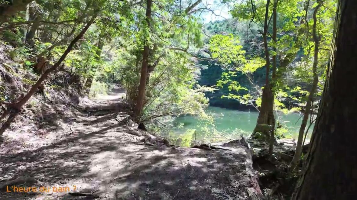 Kumano Kodo #1