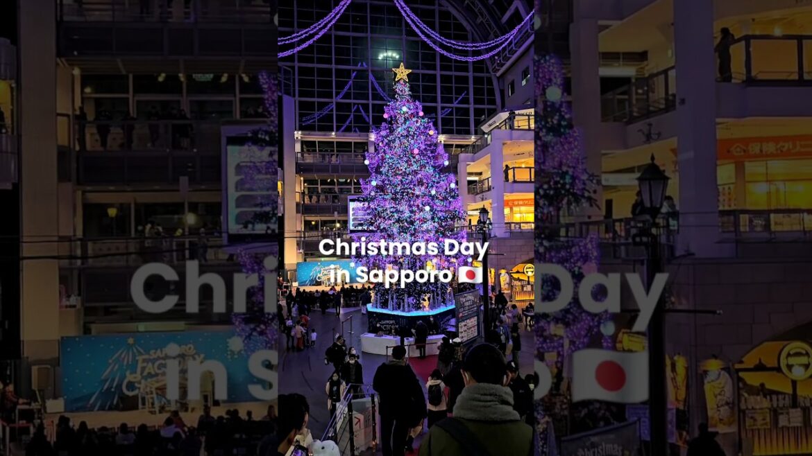 Hokkaido Christmas! 🍫 Lights & Markets ✨️ #shorts