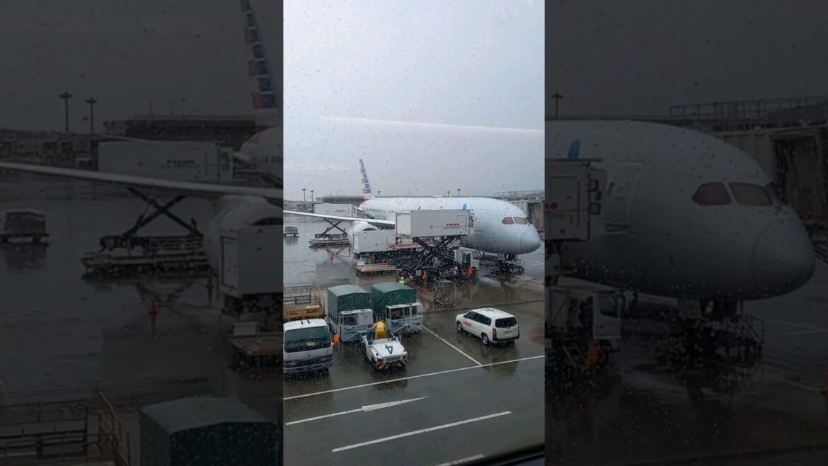 Arrival in Narita International Airport, Tokyo, Japan-3rd Time to Work on Board a Cruise Ship as WS Arrival in Narita International Airport, Tokyo, Japan-3rd Time to Work on Board a Cruise Ship as WS