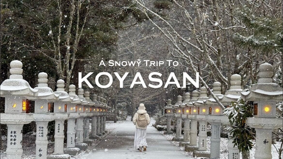 A winter getaway to Koyasan, Wakayama | ghibli-like cafes, okunoin, temple stay | JAPAN TRAVEL VLOG A winter getaway to Koyasan, Wakayama | ghibli-like cafes, okunoin, temple stay | JAPAN TRAVEL VLOG