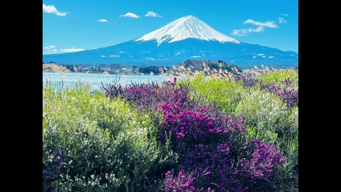 Mt. Fuji: A Breathtaking Glimpse