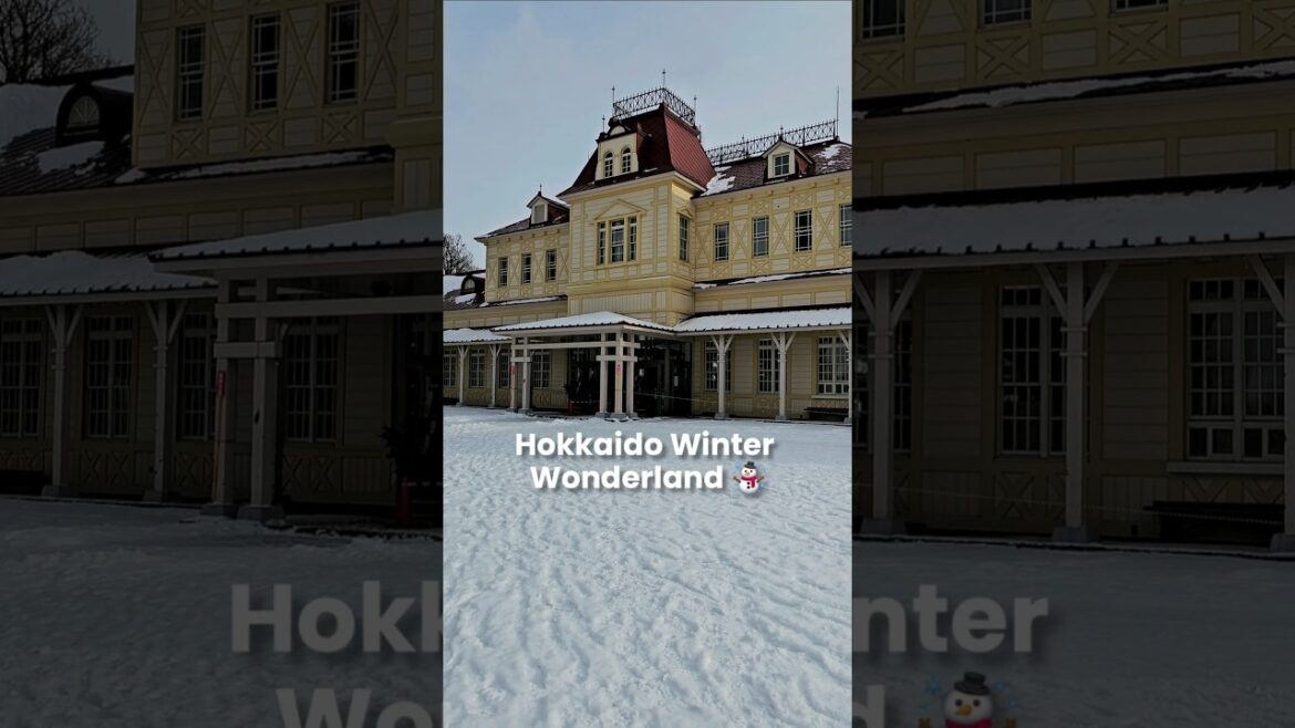 Snowy Sapporo! ❄️ Hokkaido Historical Village #shorts