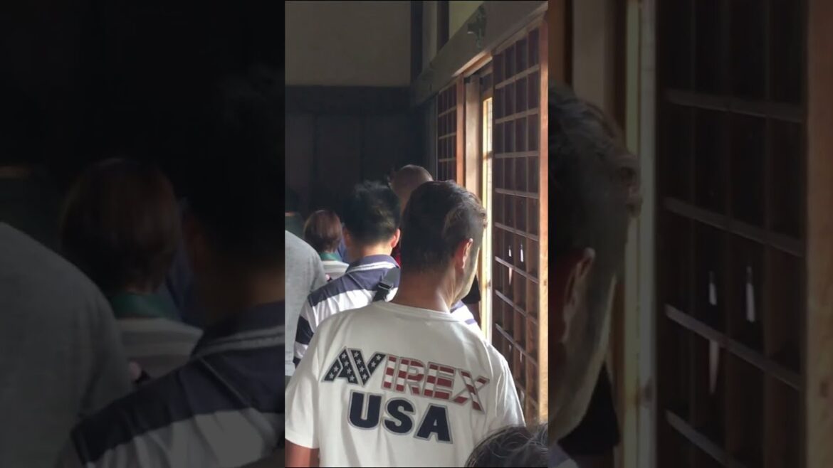 The view from the top floor of the Shogun Castle