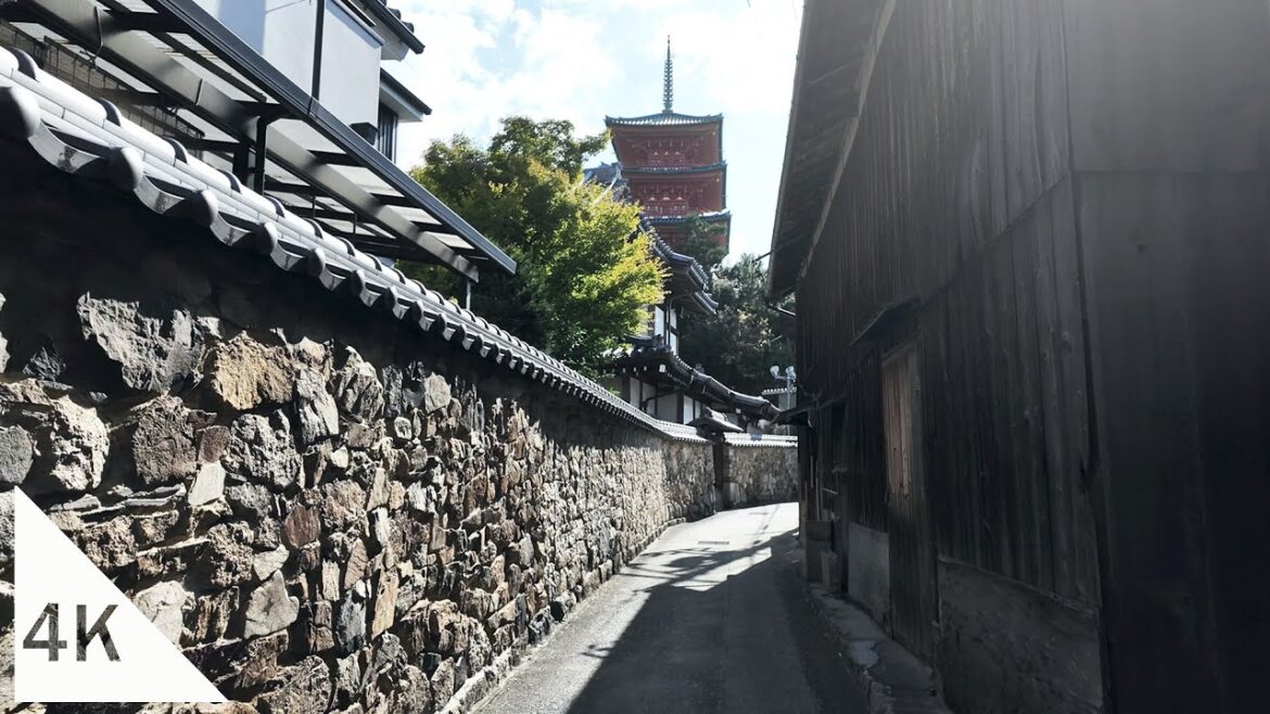 【4K】Walking through the Maze of Streets on Shodoshima Island
