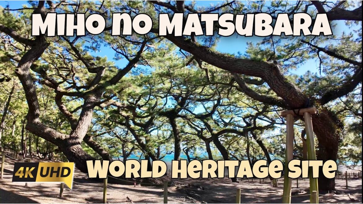 三保松原 Walking Through Miho no Matsubara - Japan's Scenic Pine Grove and World Heritage Site