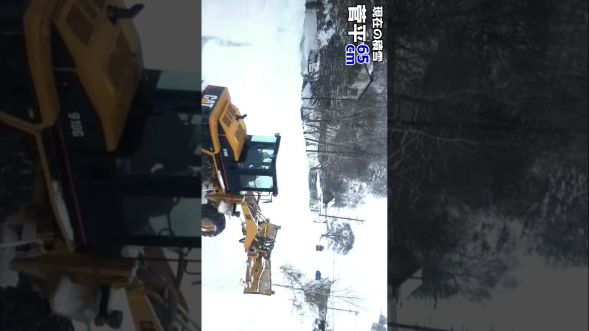 積雪情報 #菅平高原スノーリゾート ＃除雪