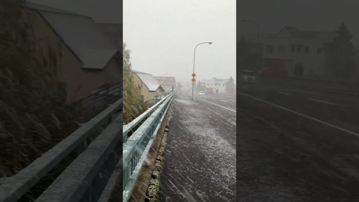 【函館】雪、雪、雪、ゆき━━━━━━！！！#Shorts