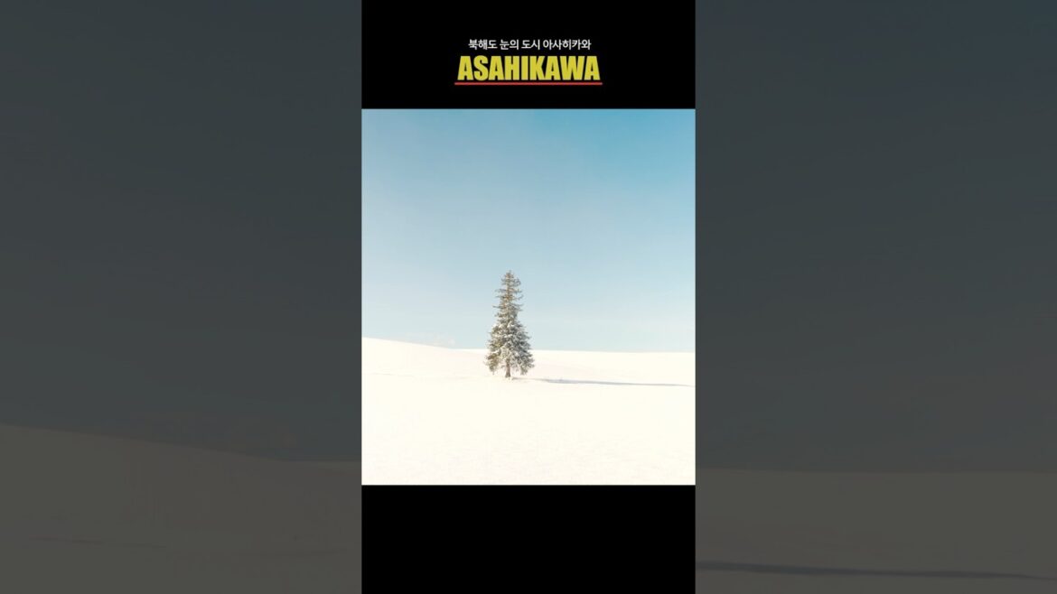 북해도 눈의 도시 아사히카와 여행 #hokkaido #asahikawa #snow