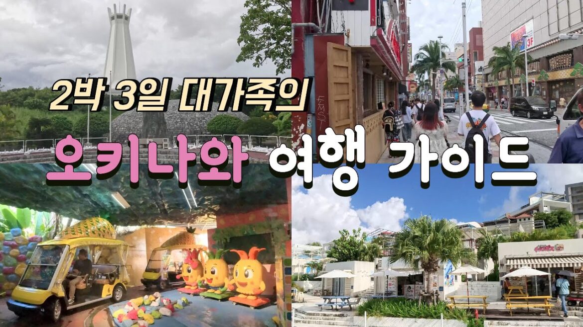 2박3일 구석구석 대가족이 함께 한 [오키나와 여행 가이드]