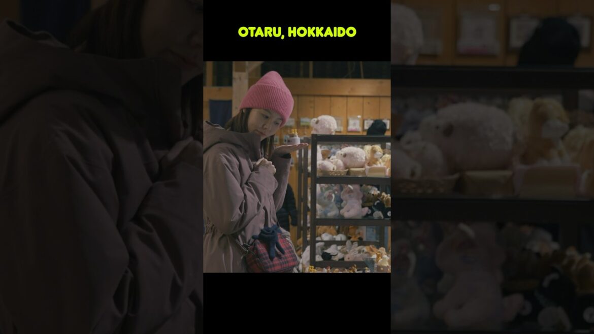 앤틱한 영화의 도시 오타루 오르골당 #otaru #sapporo #hokkaido