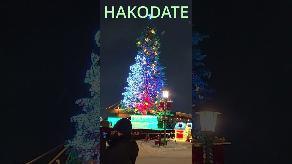 감성충만 겨울 #일본여행  A winter travel to Japan full of emotions #japantravel