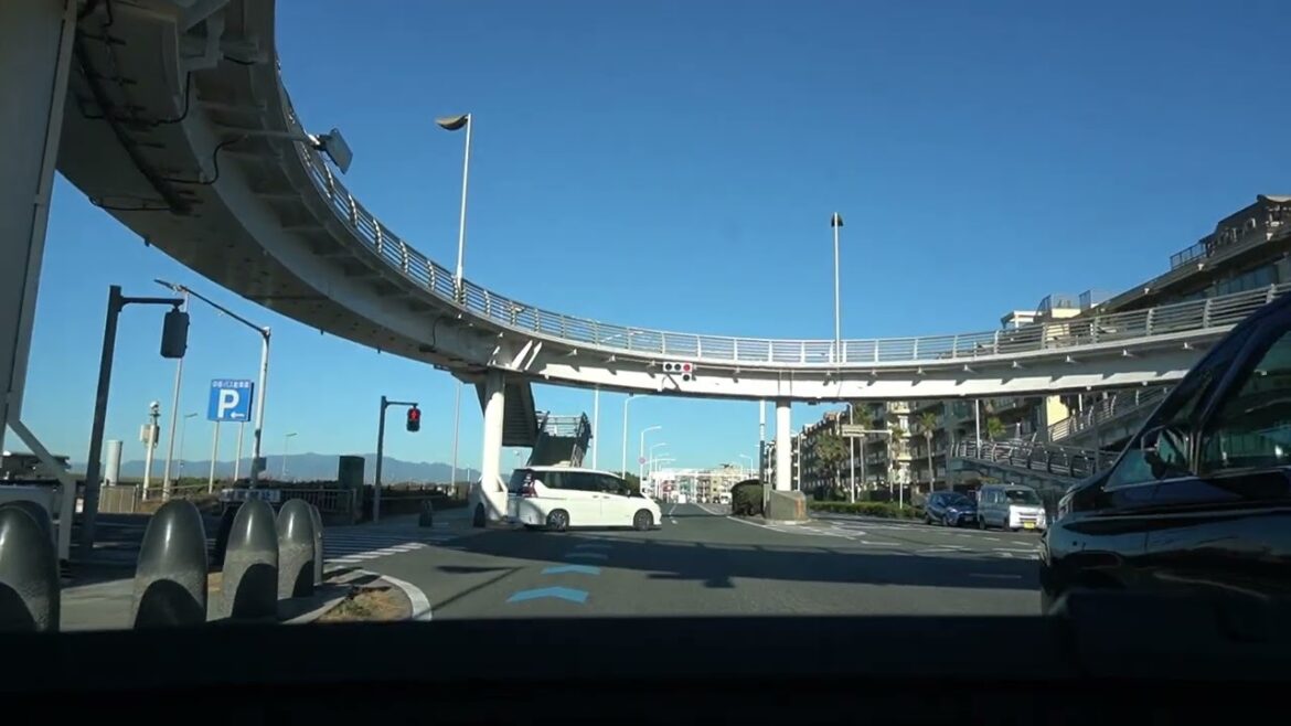 Why Japan? (Indefinitely). My Story. #japanlife #japaneseculture #travel #japanese #japan