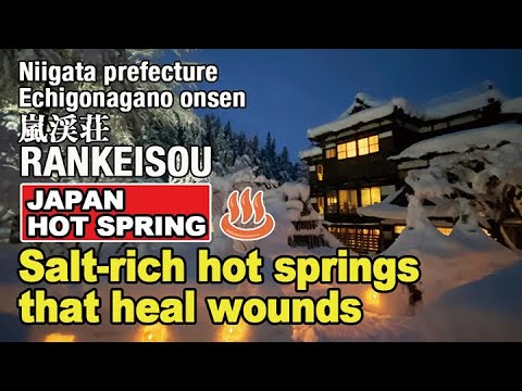 Niigata【Rankeisou】Enjoy the Japanese countryside#japanesetravel#hotsprings#onsen#japanculture Niigata【Rankeisou】Enjoy the Japanese countryside#japanesetravel#hotsprings#onsen#japanculture